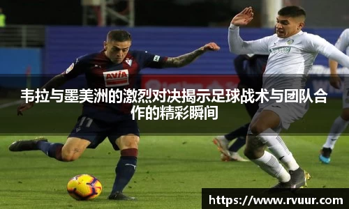 好博体育官网平台